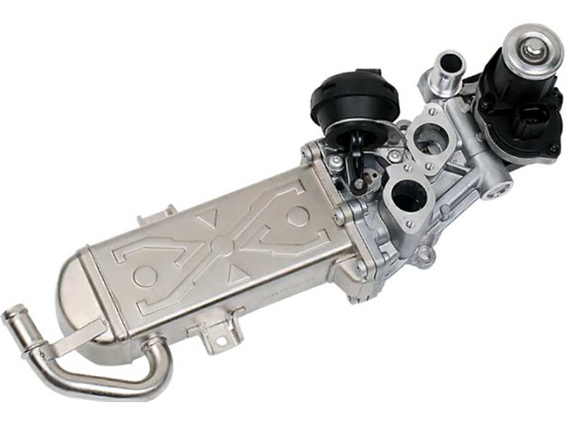 EGR valve